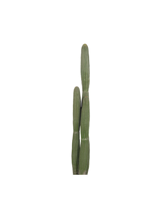Decorative Synthetic Plant Hm4745 Cactus Pot Φ17 5x144cm