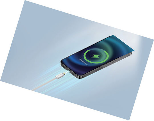 Riversong Редовна USB-C към Lightning кабел 27W Сив 2м (CL53A)