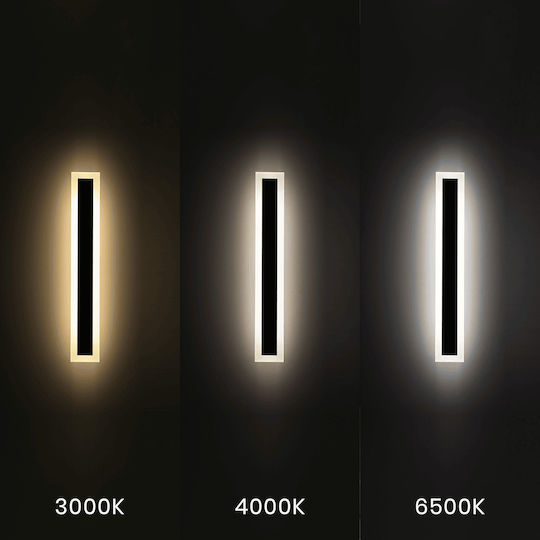 Eko Light Wall-Mounted Outdoor Light LED 20W
