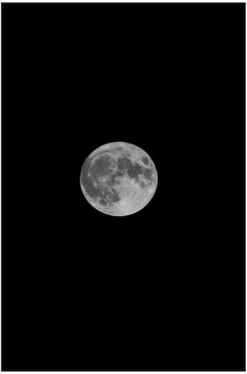 Painting Full Moon In Black White 60x90