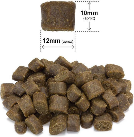 Arquivet Fresh 2.5kg Dry Food for Dogs Gluten-Free with Fish