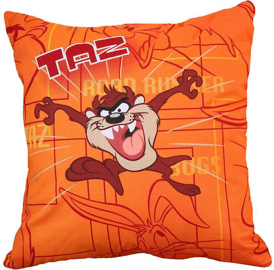 Decorative Pillow 40x40 Taz 10