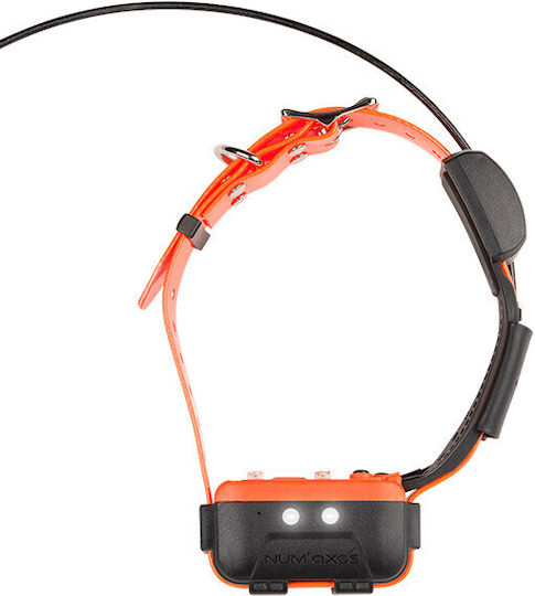 Num'axes Canicom GPS 2 Dog GPS Shock Collar with Range 3000m