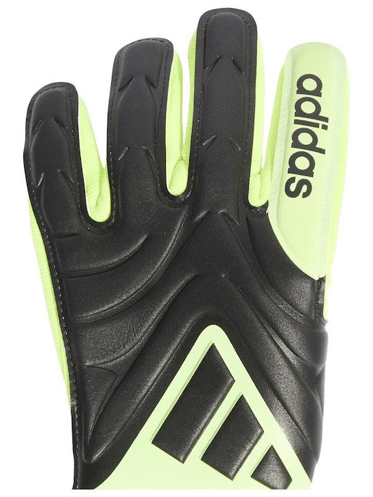 adidas Copa Gl League Kids Goalkeeper Gloves Green