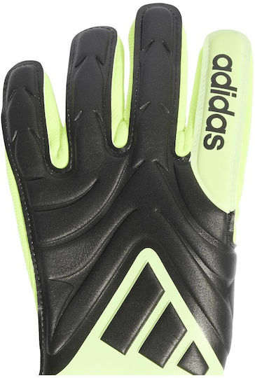 adidas Copa Gl League Голмански ръкавици Детски Зелени