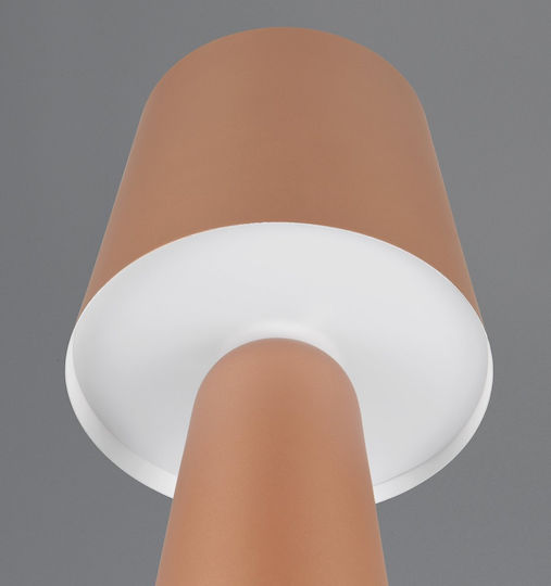 Trio Lighting Διακοσμητικό Φωτιστικό E27 16x40εκ.