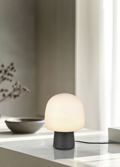 Trio Lighting Διακοσμητικό Φωτιστικό E14 20x27εκ.