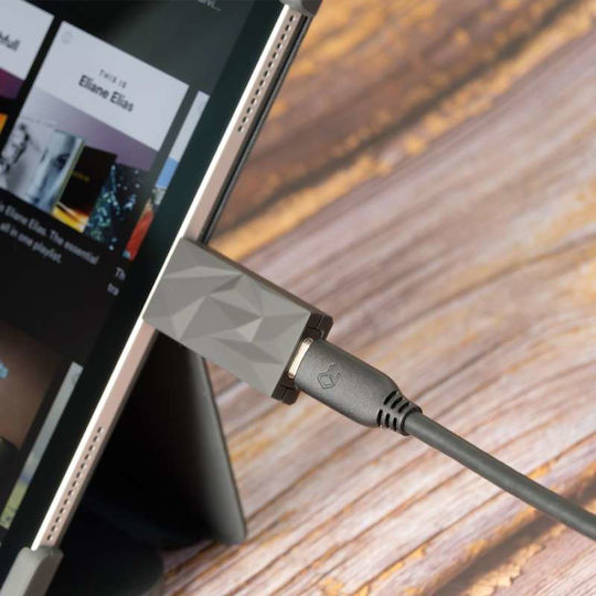 Ifi Audio Isilencer+ USB-C to USB-A