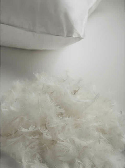 Vesta Home Royal Kopfkissen Gefiedert 50x70cm