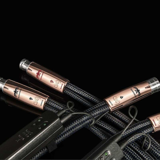 Audioquest Cable XLR male - XLR male Μαύρο 1.5m