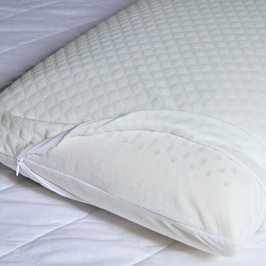 Kentia Perna Pat Latex 40x70cm