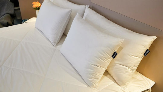 Valeria Home Μαξιλάρι Ύπνου Βαμβάκι 40x60cm