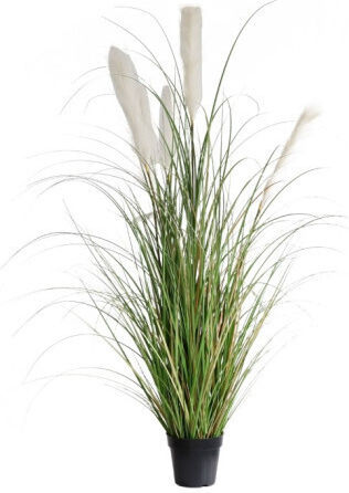 Harmony Τεχνητό Φυτό Γυνέριο Pampas Grass 115cm