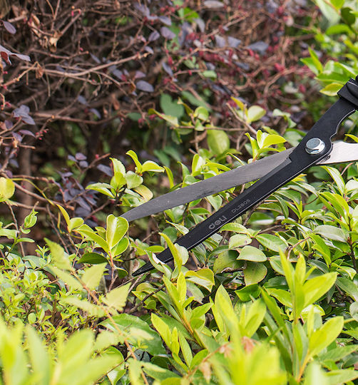 Deli Shrub DL2805