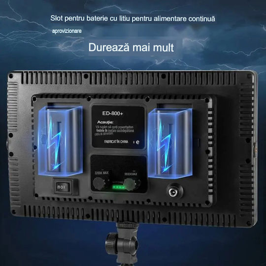 Continuous Light Studio Kit Φωτισμού 3 Φωτιστικών 50W 3200 - 5600K