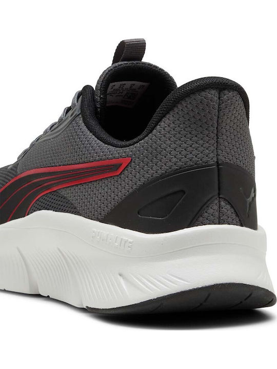Flexfocus Lite Modern Sneakers Gray