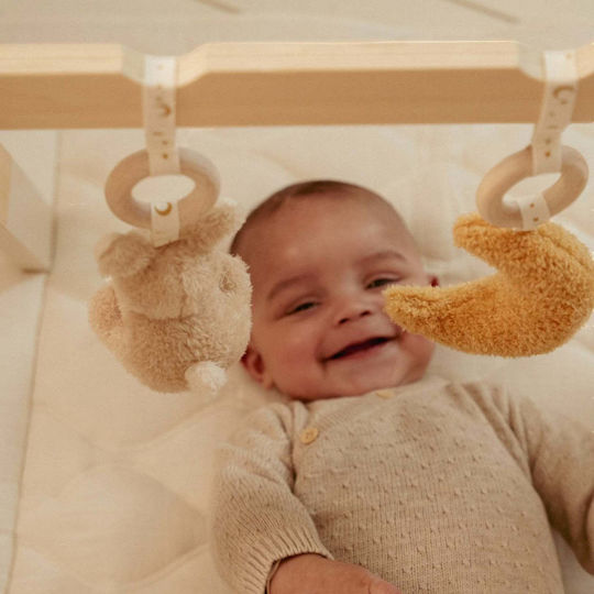 Little Dutch Βρεφικό Γυμναστήριο Newborn Naturals