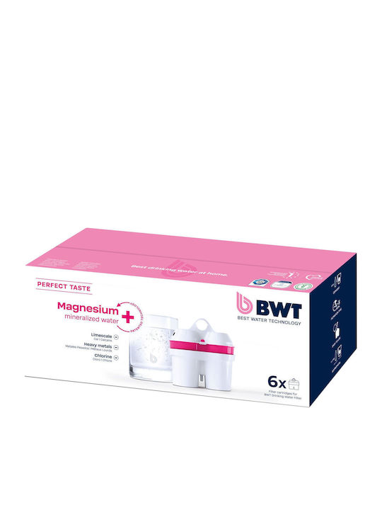 BWT Water Filter Replacement for Pitcher Magnesium 6pcs
