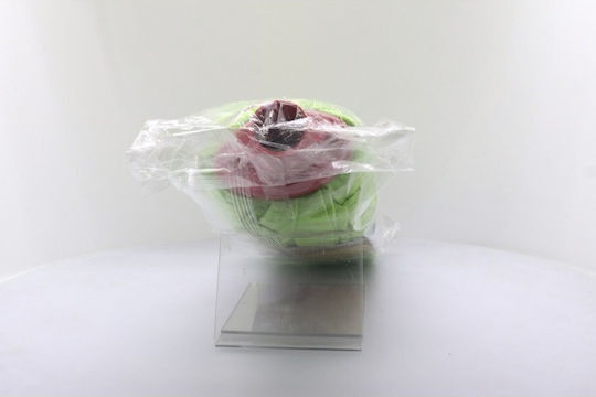 Simple Red Rose Mop cu Microfibre 12-36A