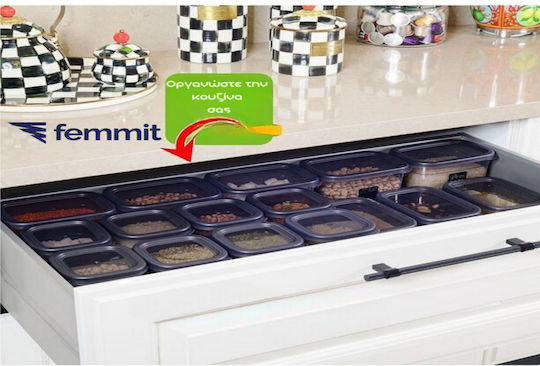 Femmit Vază Utilizare Generală 1700 Ml Cu Capac Ermetic Plastic