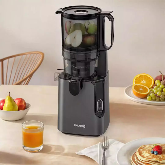 HKoenig Storcător de fructe Presare lentă 250W Negru