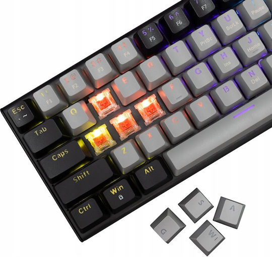 White Shark WAKIZASHI 2 Gaming Mechanical Keyboard 60% with Custom Red switches and RGB lighting (English US) Grey/Black