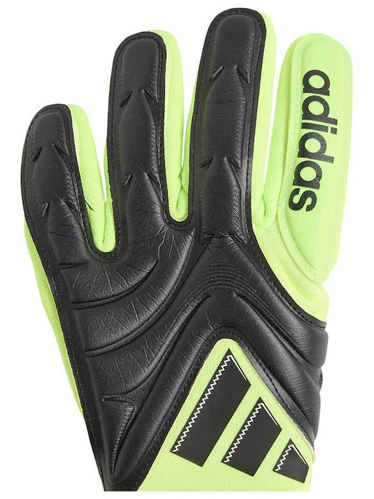 adidas Copa Pro Mănuși portar de Copii Negre