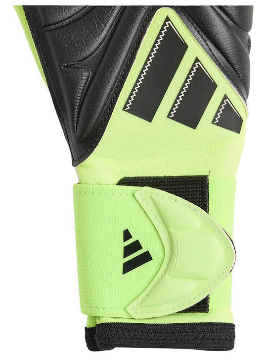 adidas Copa Pro Mănuși portar de Copii Negre