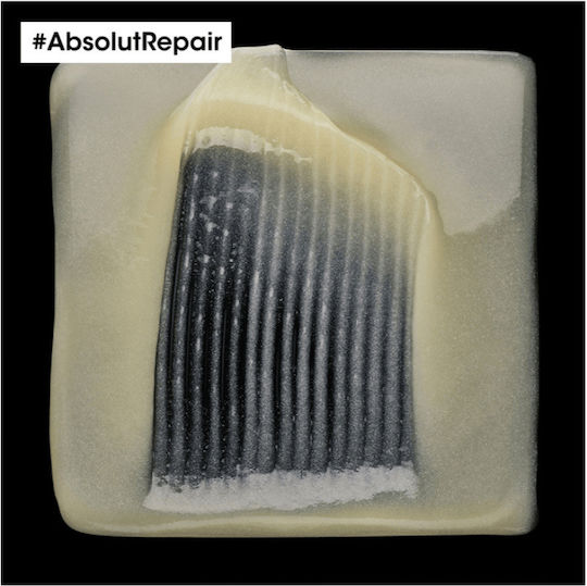 L'Oréal Professionnel Serie Expert Absolut Repair Șampon Reconstrucție/Hrană pentru Păr Deteriorat 300ml