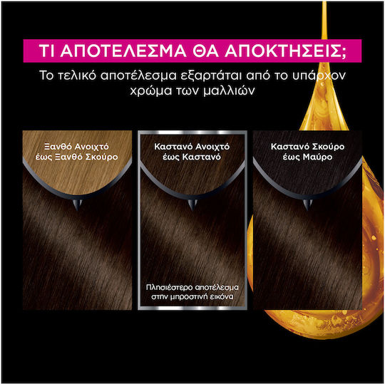 Garnier Permanent Βαφή Μαλλιών Χωρίς Αμμωνία 4.0 Καστανό 60gr
