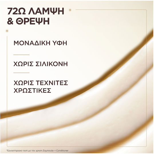 Garnier Botanic Therapy Balsam pentru Vopsit Păr 200ml