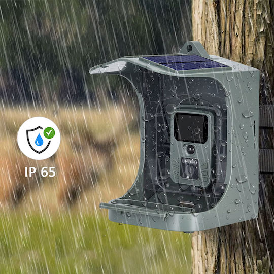 Suntek Smart Solar Hunting Camera Bc-303w Pir Wifi 24mp/1265p Sd Ip65 Bc303w 23.0x16.0x21.0
