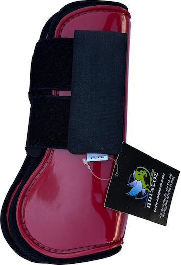 Epigasos Horse Tendon Boots 2 Pcs Front Bordeaux Cob