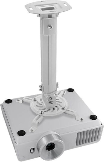 Techly Βάση Projector Οροφής ICA-PM-18M με Μέγιστο Φορτίο 13kg Ασημί