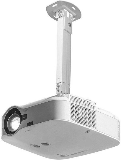Techly Βάση Projector Οροφής ICA-PM-18M με Μέγιστο Φορτίο 13kg Ασημί