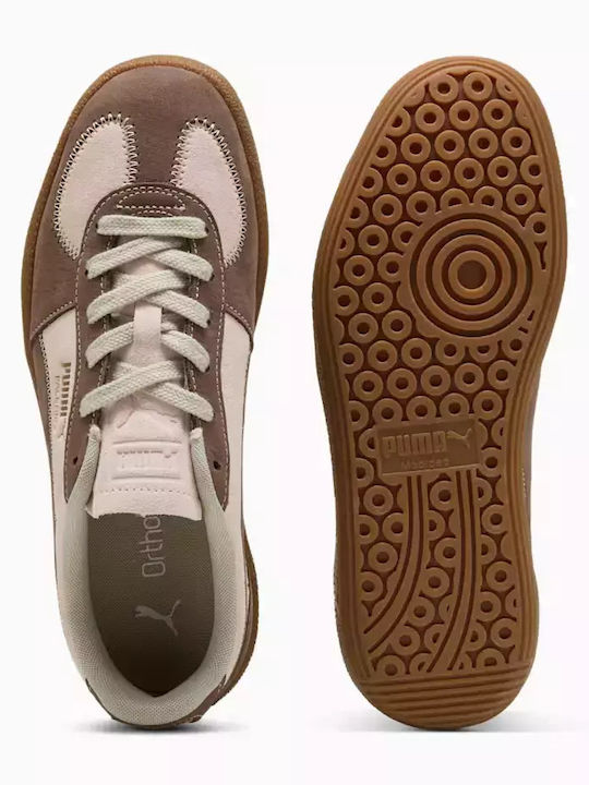 Palermo Sneakers Wine Club