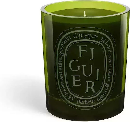 Diptyque Αρωματικό Green Figuier σε Βάζο Πράσινο