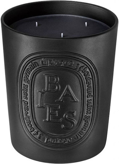 Diptyque Αρωματικό σε Βάζο Black Baies