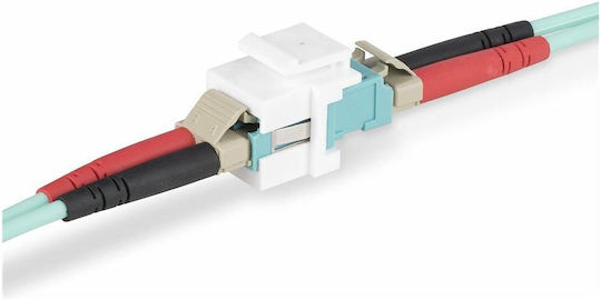 StarTech Keystone 1τμχ