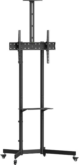 Maclean Energy MC-113 B Βάση Τηλεόρασης Δαπέδου έως 70"