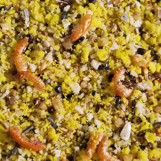Royal Vogelfutter Hrană de Ouă pentru Păsări Sălbatice 10kg