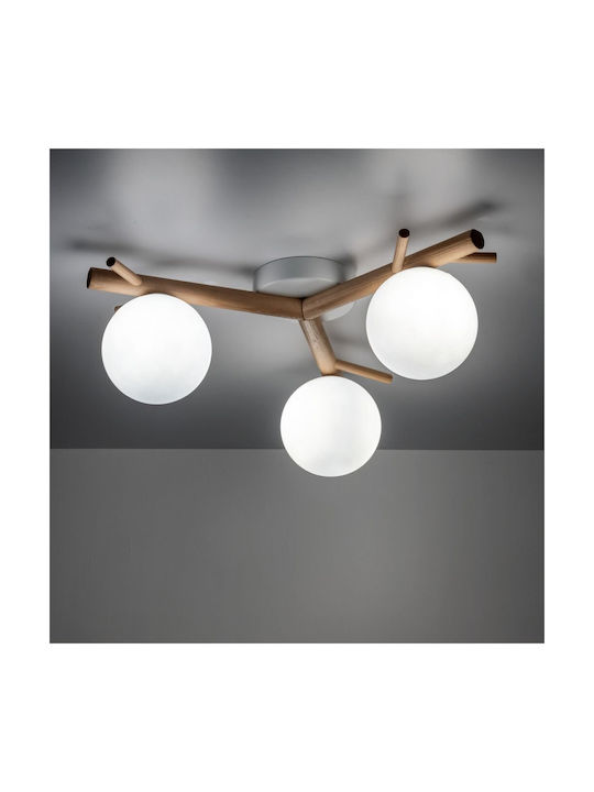 TK Lighting Πλαφονιέρα