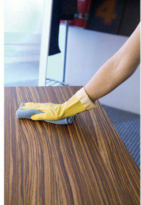 Vileda Microtuff Plus Red Cloth 169924