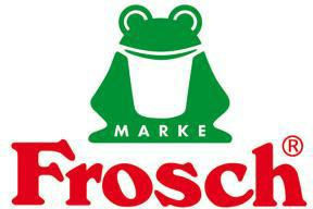 Frosch Ginger Dishwashing Liquid Concentrate 500ml