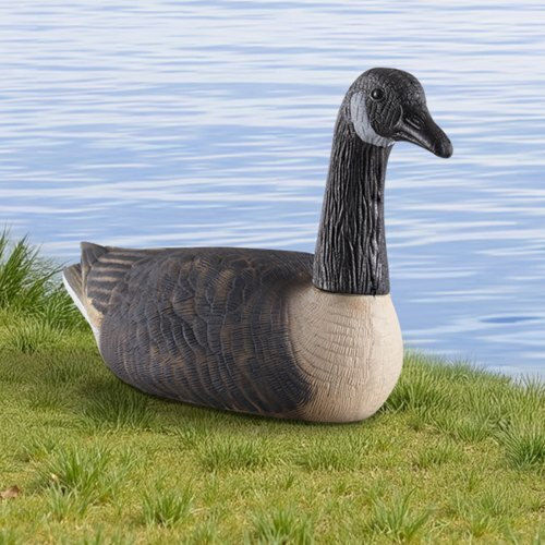 Vevor Decorative Garden 6pcs JTSLYEJNDE6JQC5BY001V0