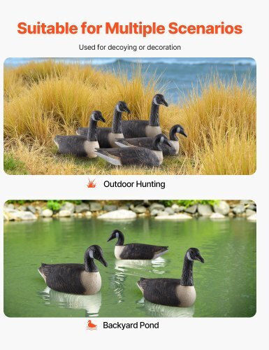 Vevor Decorative Garden 6pcs JTSLYEJNDE6JQC5BY001V0