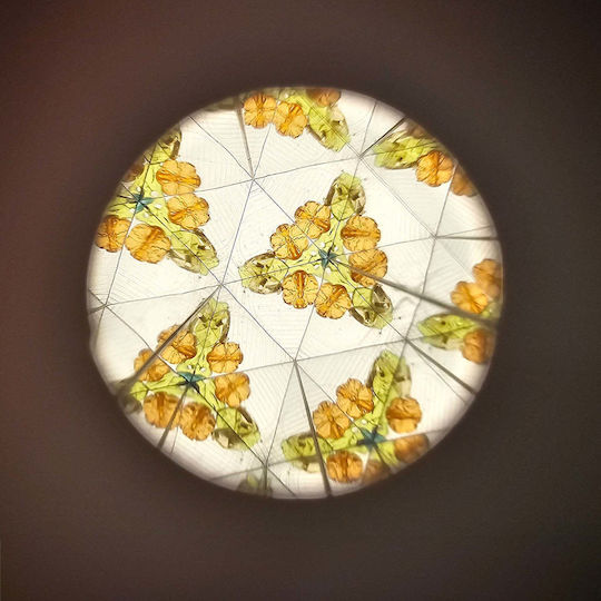 Little Dutch Kaleidoscope Forest Friends for 3+ Years (Various Designs) 1pc