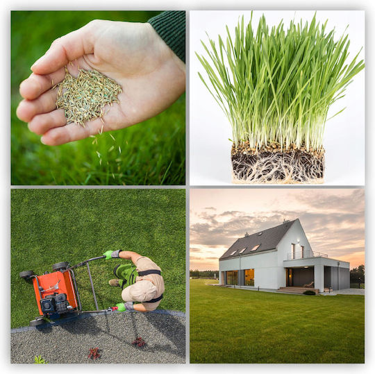 Kadax Universal Fast-Growing Grass Seeds Lawns Resistant 10kg 400m2