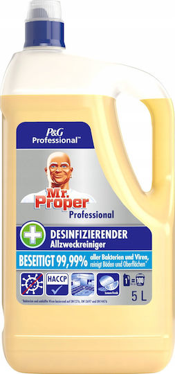 Mr. Proper Επαγγελματικό Καθαριστικό Υγρό Πατώματος 5lt