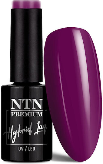 NTN Premium Ημιμόνιμο Βερνίκι Νυχιών 131 5ml